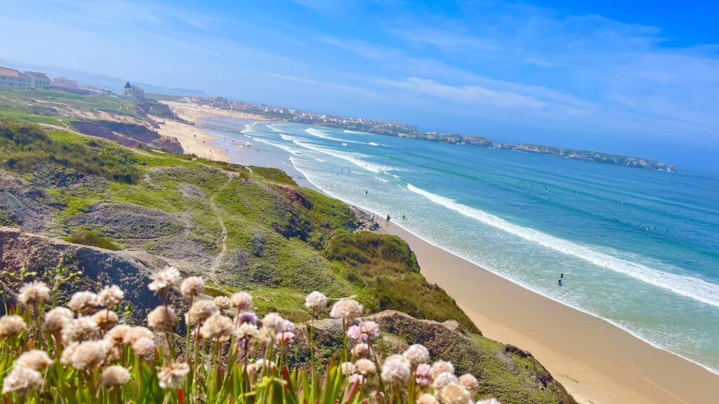 Silver Coast Portugal beach near Baleal with surfers and pink flowers in foreground